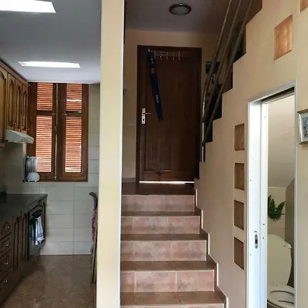 Bungamar 플라야데라스아메리카스